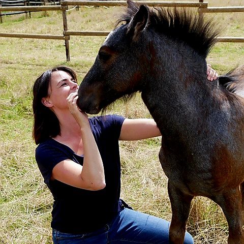 Christina Effertz: Einfühlsame Tierkommunikation für Pferde und Hunde Tierkommunikation online – sanfter Austausch mit Tieren über Sprache des Herzens