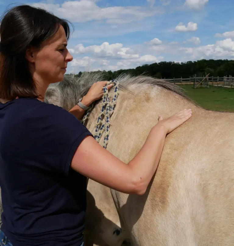 Christina Effertz - Ganzheitliche Therapeutin für Pferde und Hunde in Heinsberg